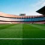 Vue panoramique d'un terrain de football avec les lignes blanches tracées sur le gazon vert