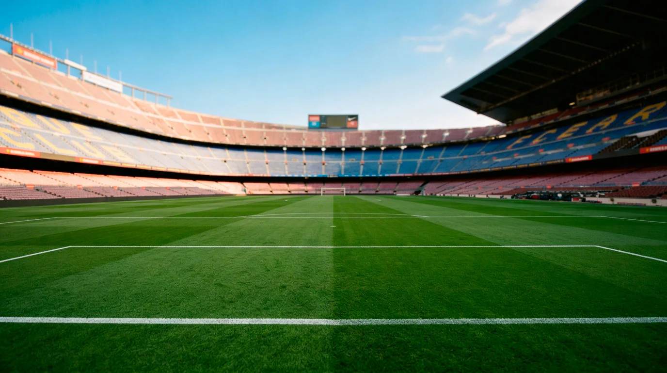 Vue panoramique d'un terrain de football avec les lignes blanches tracées sur le gazon vert
